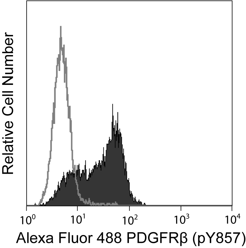 558427fig.png